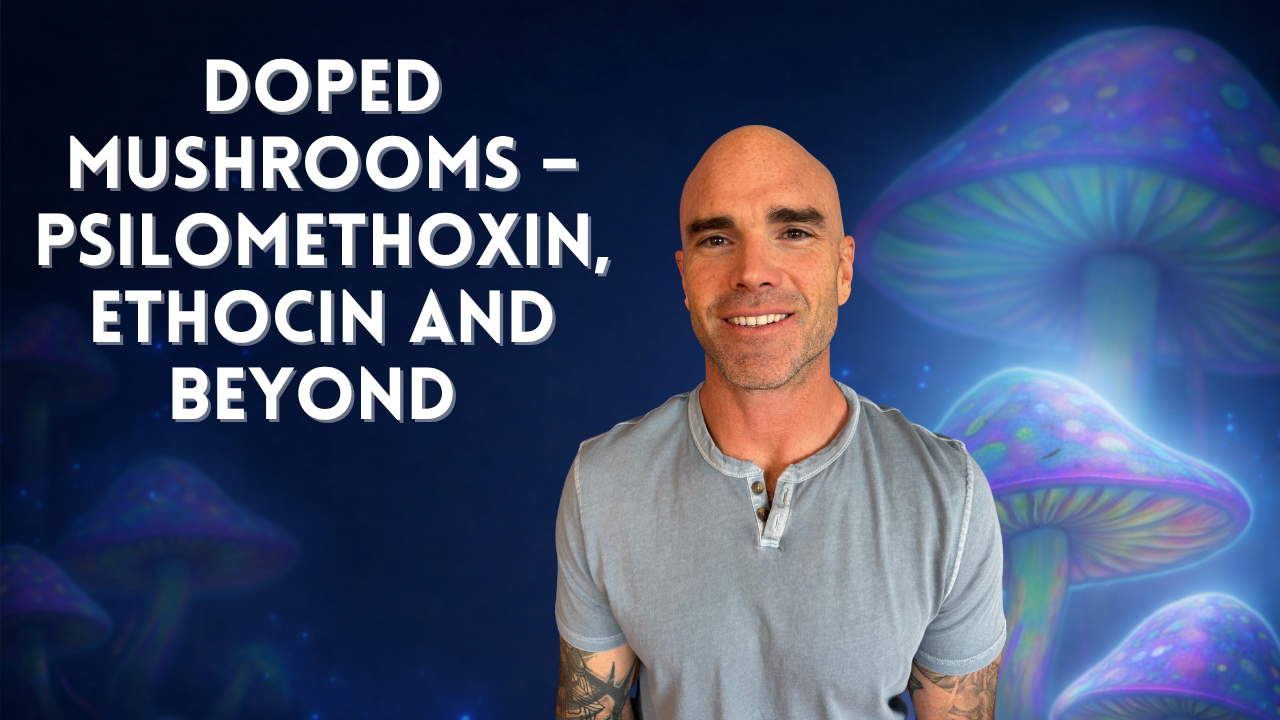 Hero’s Conclave: Doped Mushrooms