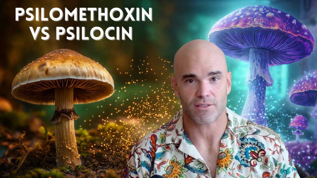 Psilomethoxin vs Psilocybin
